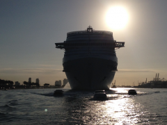 MSC Divina