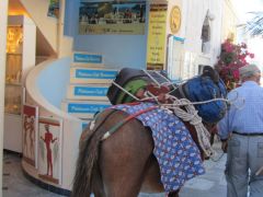 Staying At A hotel......donkey brings your luggage In Oia