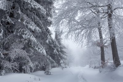 A White-Knuckle Drive through a Vermont Snow Storm