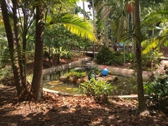 Flamingo Gardens, Ft. Lauderdale