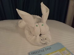 Towel Bunny, Epic