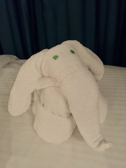 Towel Elephant, Epic