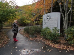 Gardens in Acadia Park